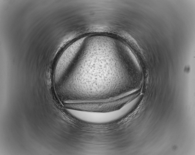 X0000099311218200805231356