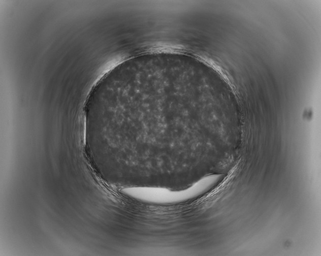 X0000099311219200805231356