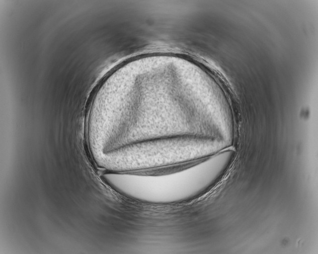 X0000099311220200805231356