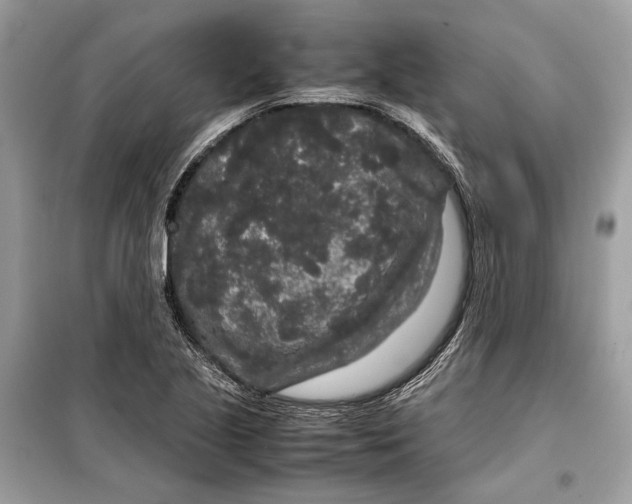 X0000099311221200805231356