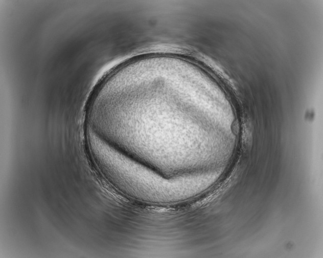 X0000099311222200805231356