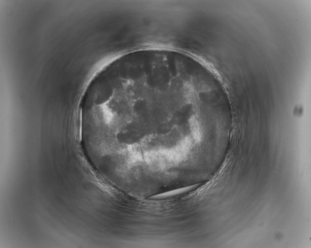 X0000099311223200805231356