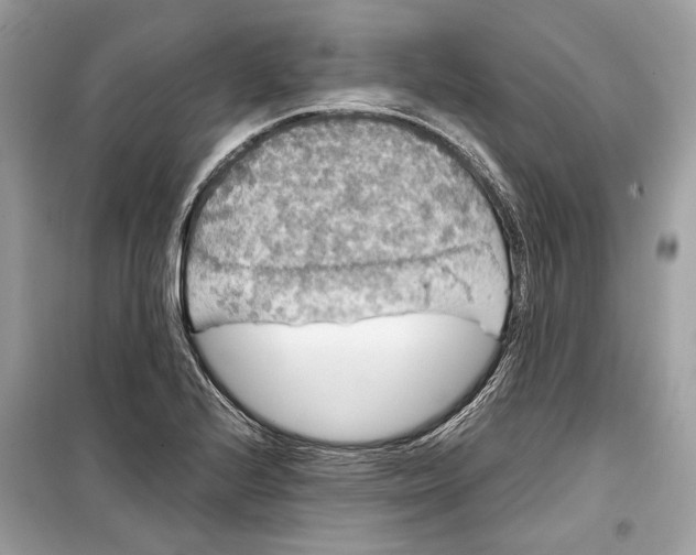 X0000099311224200805231356