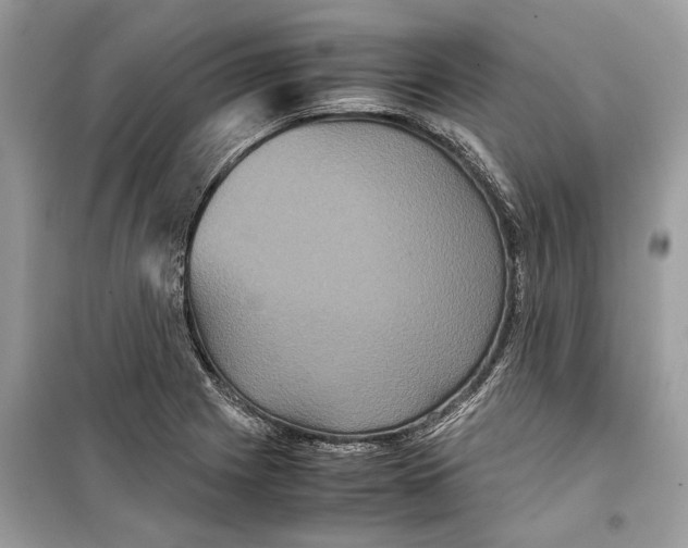 X0000099311225200805231356