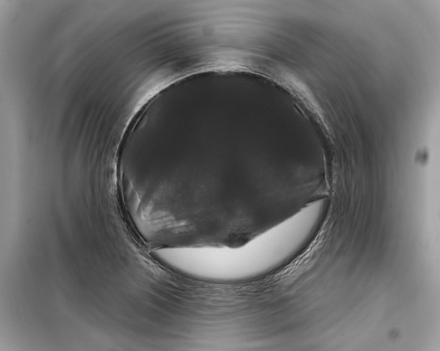 X0000099311226200805231356