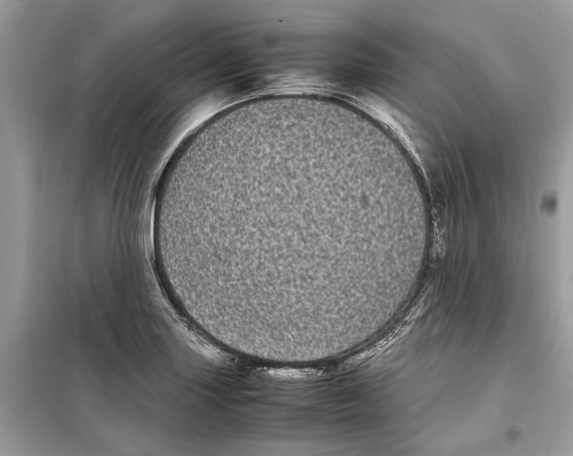 X0000099311227200805231356