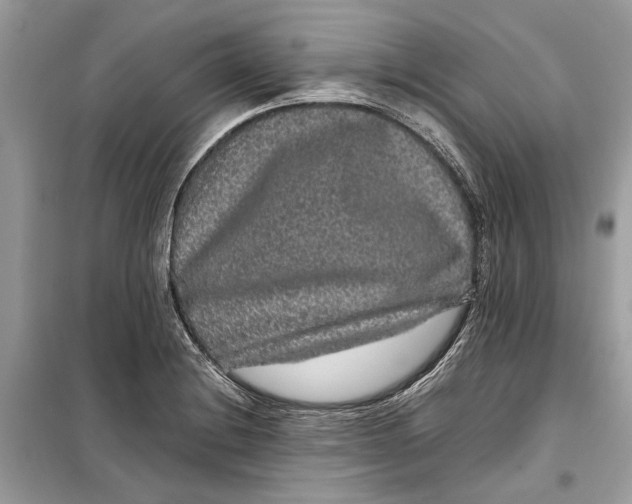 X0000099311228200805231356