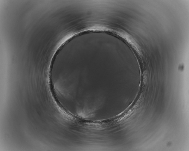 X0000099311229200805231356