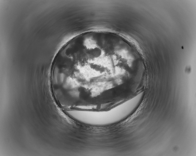 X0000099311231200805231356