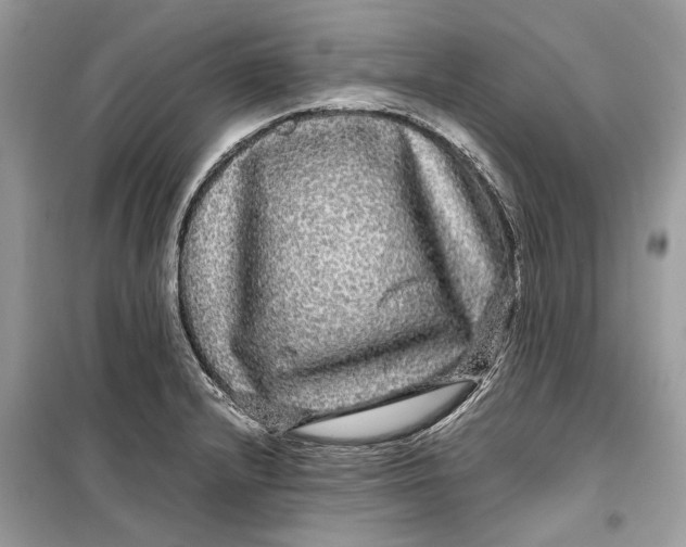 X0000099311232200805231356