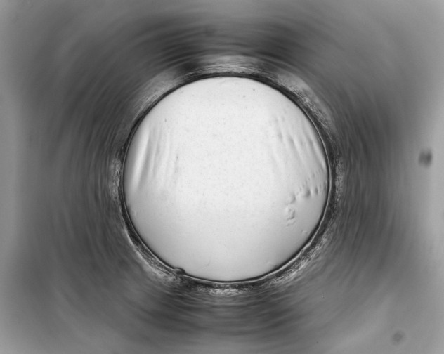 X0000099311233200805231356