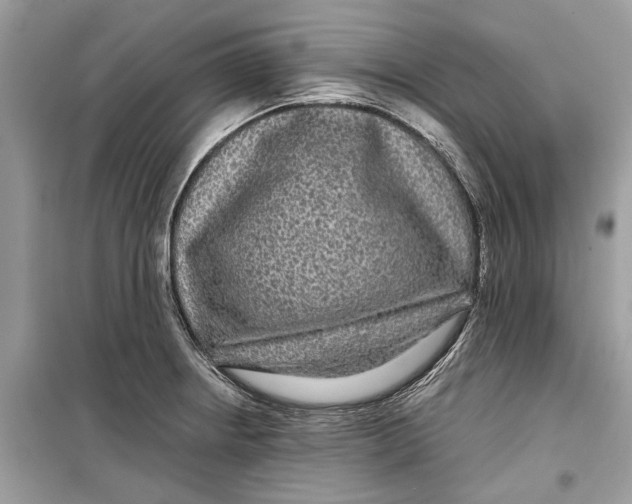 X0000099311234200805231356