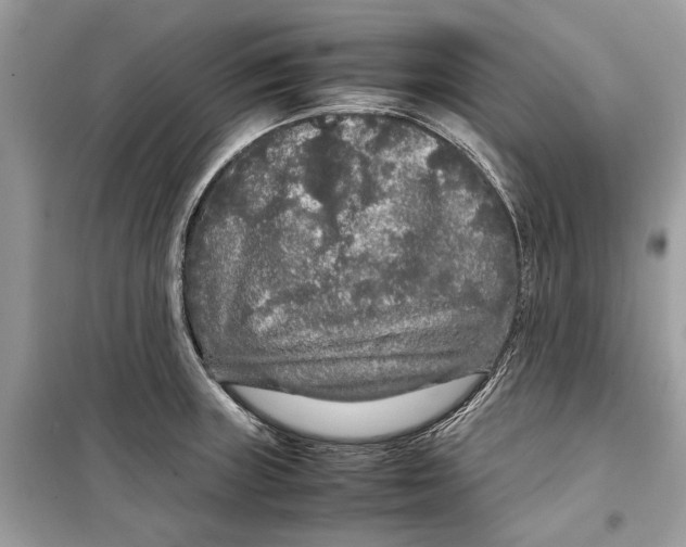 X0000099311235200805231356