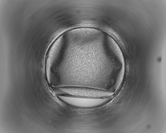 X0000099311236200805231356