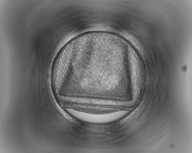 X0000099311237200805231356