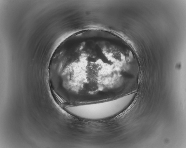 X0000099311239200805231356