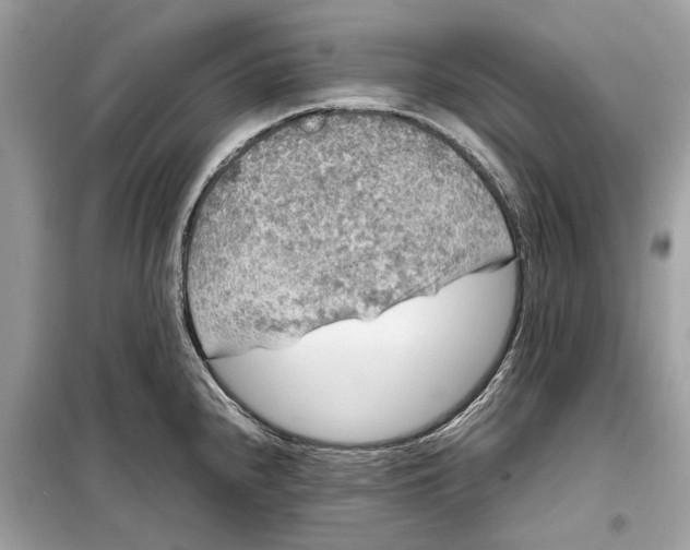 X0000099311240200805231356