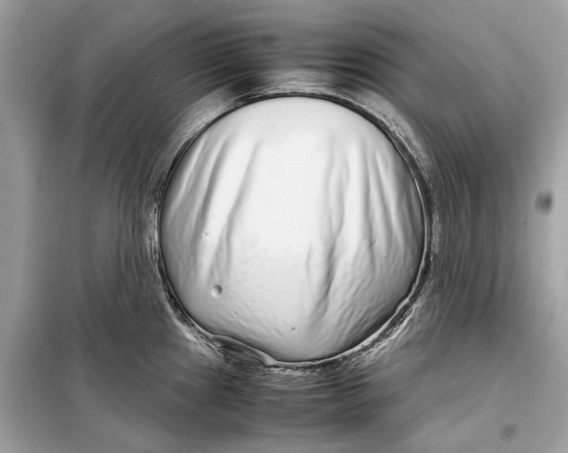 X0000099311241200805231356