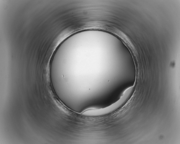 X0000099311242200805231356