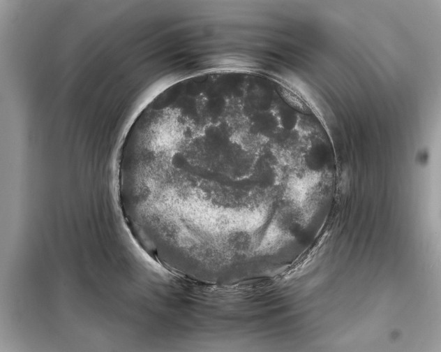 X0000099311243200805231356