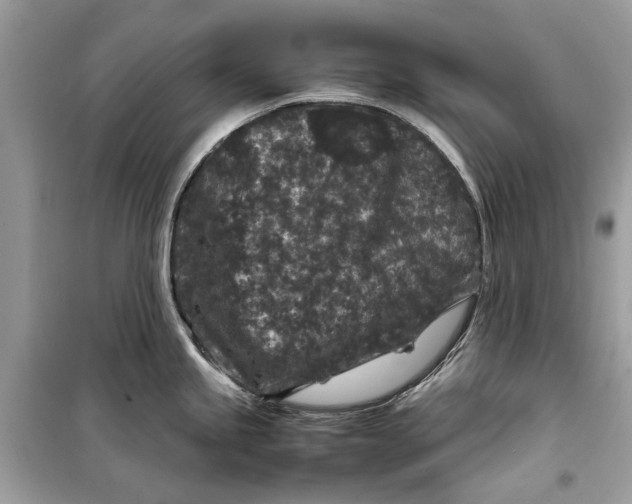 X0000099311245200805231356