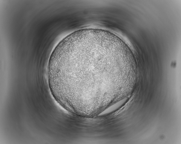 X0000099311247200805231356