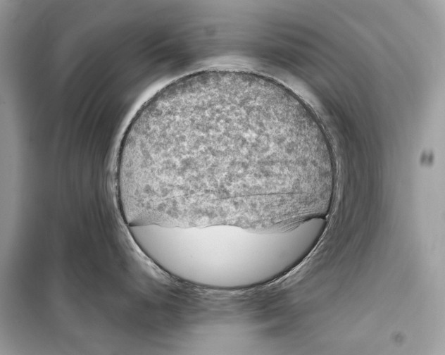 X0000099311248200805231356