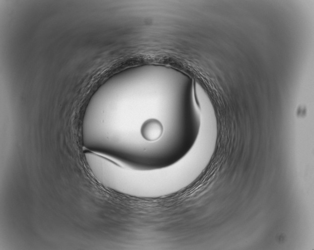 X0000099311249200805231356