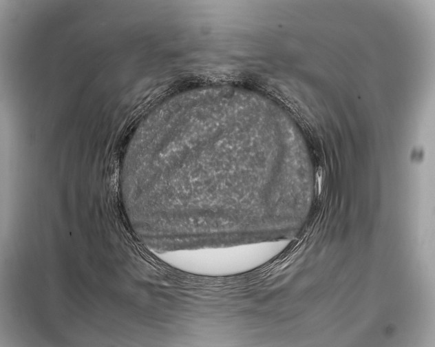 X0000099311251200805231356