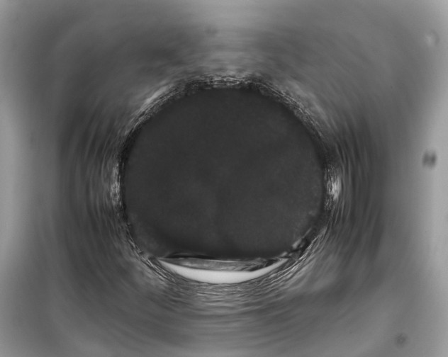 X0000099311252200805231356