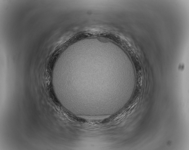 X0000099311253200805231356