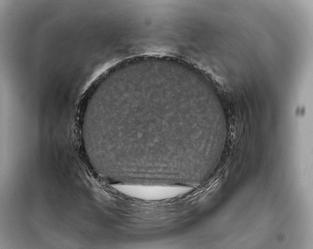 X0000099311256200805231356