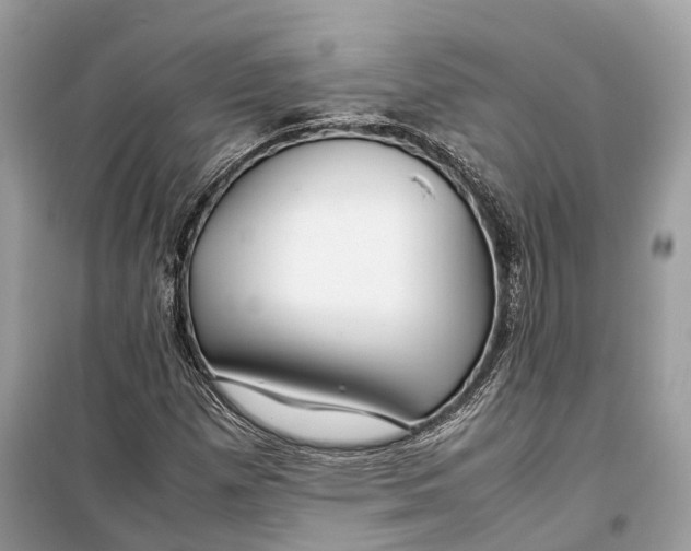 X0000099311257200805231356