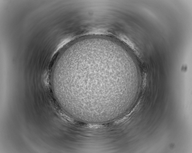 X0000099311258200805231356