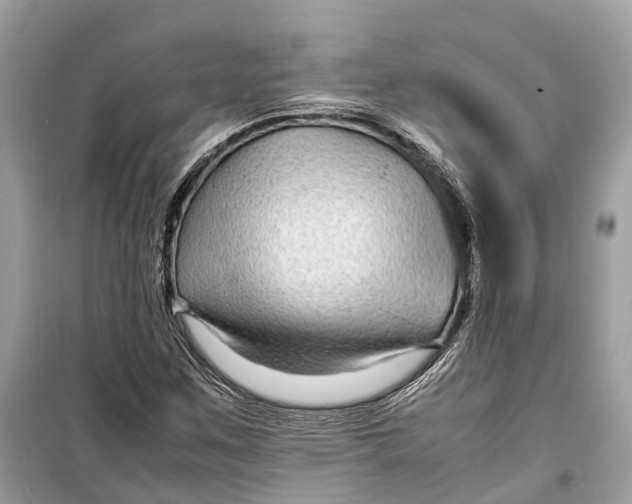 X0000099311259200805231355