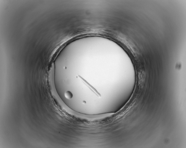 X0000099311260200805231355