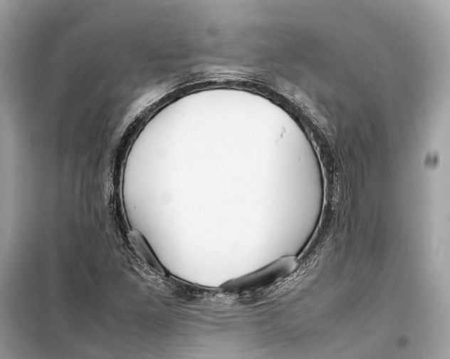 X0000099311261200805231355