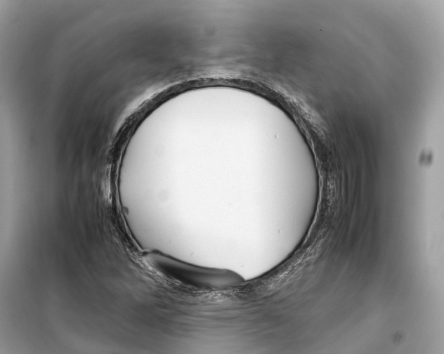 X0000099311262200805231355