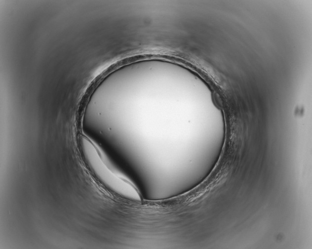 X0000099311264200805231355