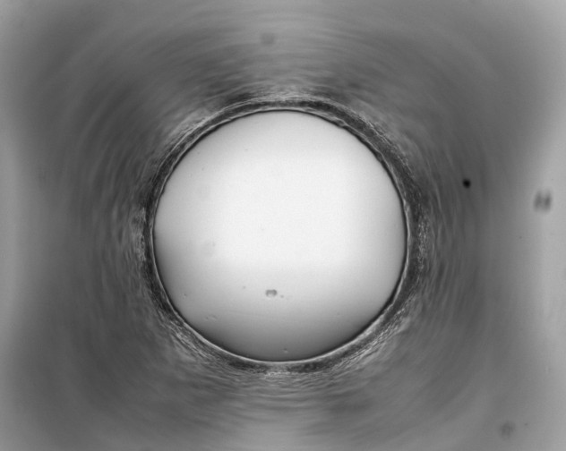 X0000099311265200805231355