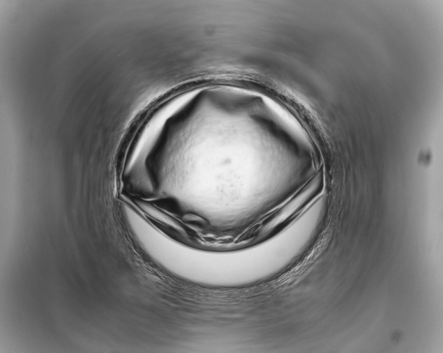 X0000099311267200805231355