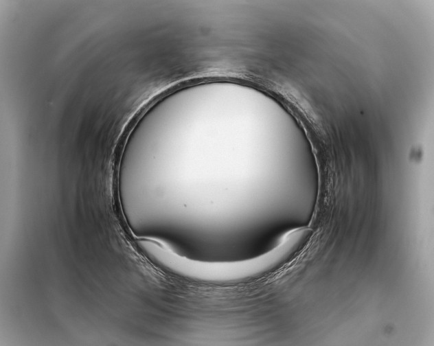 X0000099311268200805231355