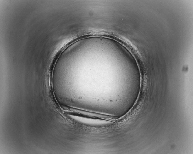 X0000099311269200805231355