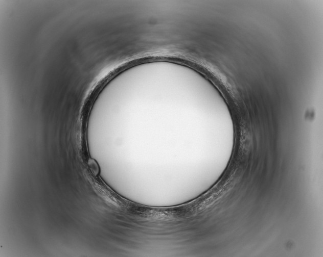 X0000099311270200805231355