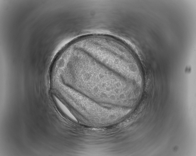 X0000099311271200805231355