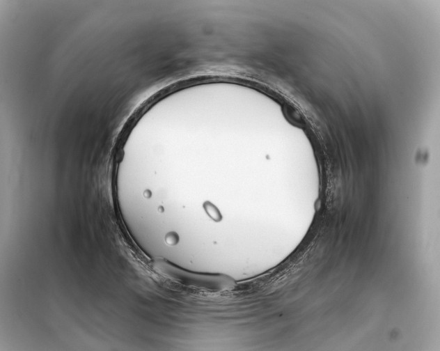 X0000099311272200805231355