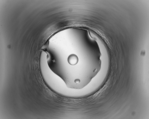 X0000099311273200805231355