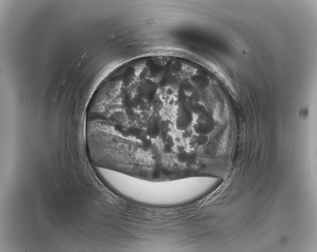 X0000099311275200805231355