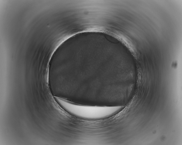 X0000099311276200805231355