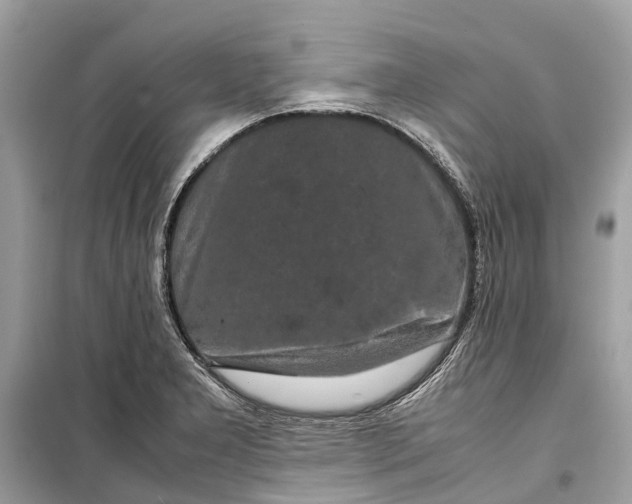 X0000099311277200805231355